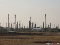 algyoi
